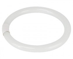 Circolina T9 a luce fredda 32W 6500K 220/240V, attacco per lampadine G10q