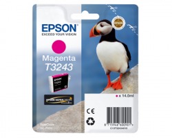 Epson T3243 Cartuccia inkjet magenta originale 14ml (C13T32434010)