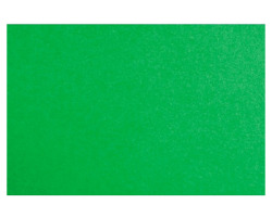 233.091.1.0009