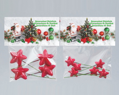 Decorazione Natalizia A Forma Di Stella Rossa In Pvc In Busta Blister 2 Misure Assortite Ofba Srl