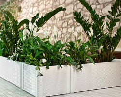 Stefanplast Fioriera Natural Deluxe quadrata, misure 43x43x33cm h, colore bianco, 100% Made in Italy