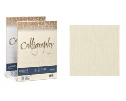 Favini A69Q314 Calligraphy Canvas A4 200gr/mq 50 cartoncini - avorio 02