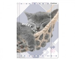 Cartellina a 3 lembi con elastico A4, fantasia Sleeping Cat - 1pz