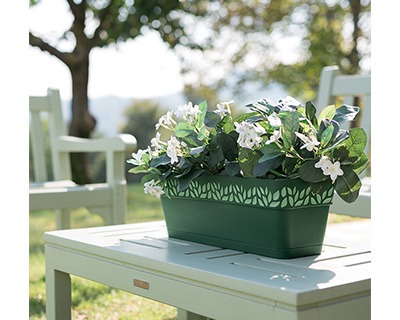 Stefanplast Balconcino Per Fiori Cloe – Cm 50 – Colore Bianco/Travertino – Con Riserva D'Acqua – Vaso Per Giardinaggio In Polipropilene