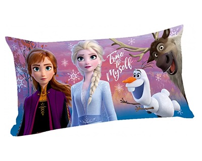 Solo federa per Cuscino Frozen 40 x 40 cm 1 Pz Disney - CakeCaramella