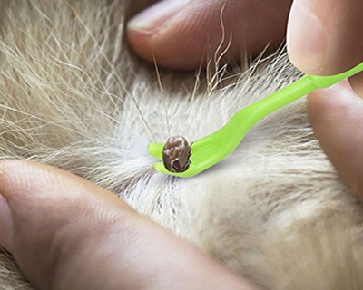 Kit Di 3 Pinzette Per Zecche In Acciaio Inossidabile - Con Custodia, Per Cani, Gatti E Persone